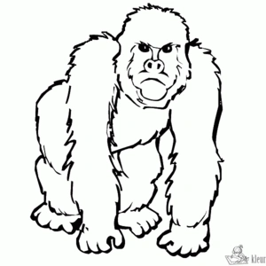 Aap 11 kleurplaat om te printen en kleuren