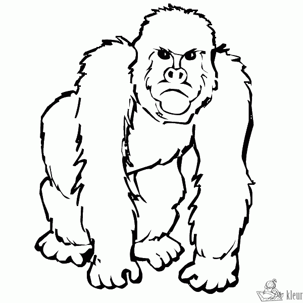 Aap 11 kleurplaat