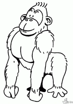 Aap 41 kleurplaat om te printen en kleuren