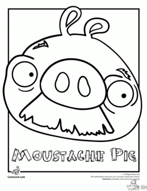 Angry birds 15 kleurplaat om te printen en kleuren