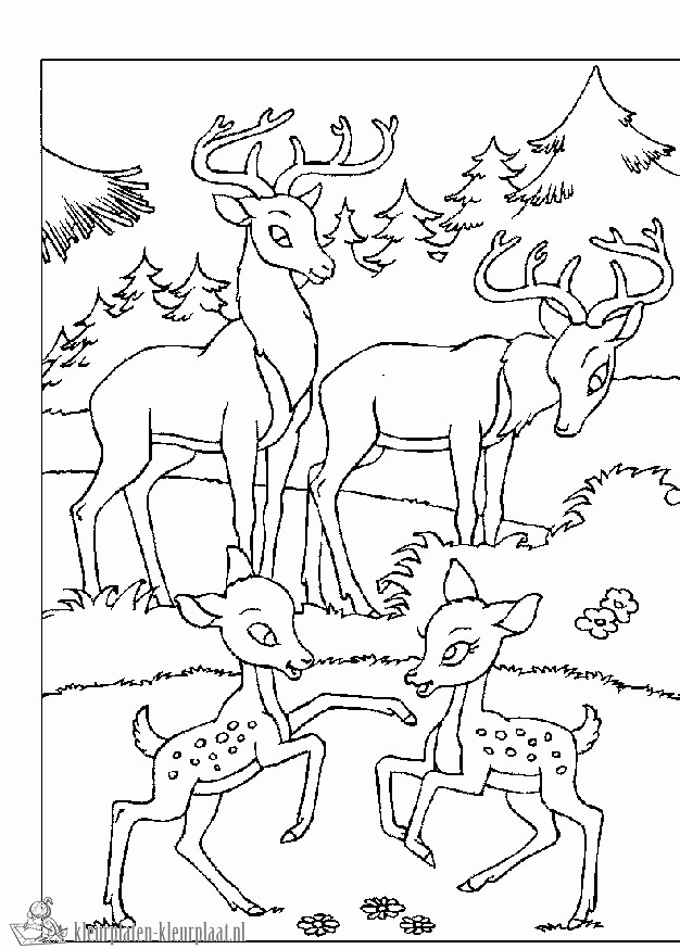 Bambi 22 kleurplaat
