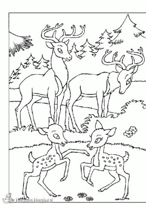 Bambi 33 kleurplaat om te printen en kleuren