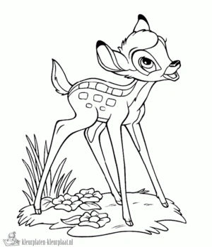 Bambi 6 kleurplaat om te printen en kleuren