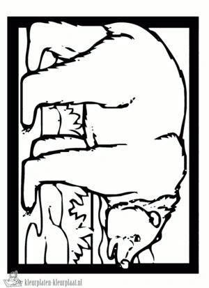 Beer 19 kleurplaat om te printen en kleuren