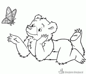 Beer 29 kleurplaat om te printen en kleuren