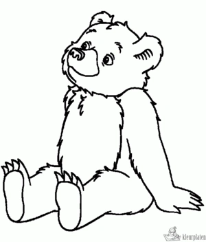 Beer 34 kleurplaat om te printen en kleuren