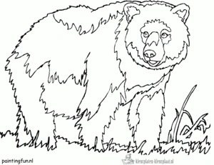 Beer 63 kleurplaat om te printen en kleuren