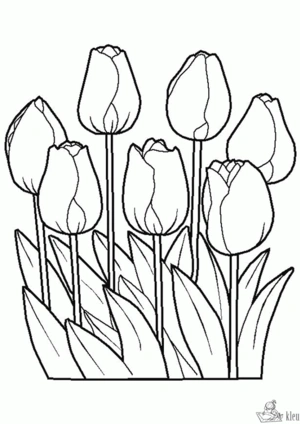 Bloemen 13 kleurplaat om te printen en kleuren