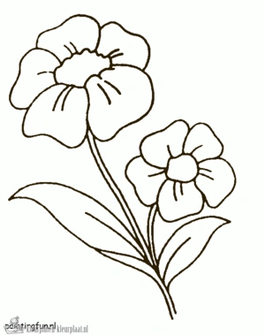 Bloemen 25 kleurplaat om te printen en kleuren