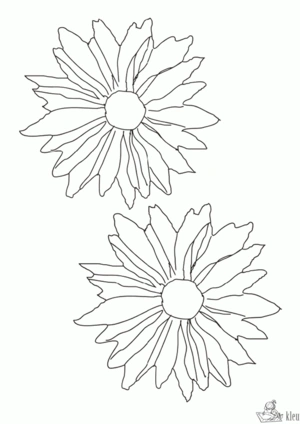 Bloemen 29 kleurplaat om te printen en kleuren