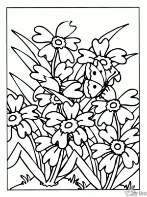 Bloemen 43 kleurplaat om te printen en kleuren