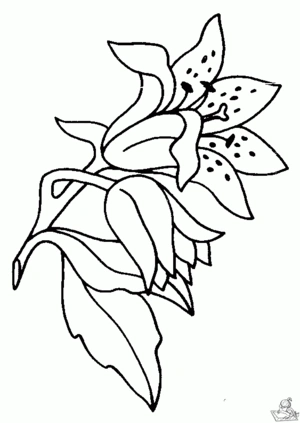 Bloemen 73 kleurplaat om te printen en kleuren