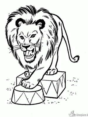 Circus 34 kleurplaat om te printen en kleuren