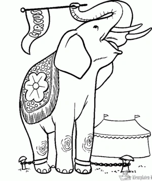 Circus 35 kleurplaat om te printen en kleuren