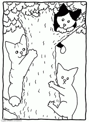 Dikkie dik 7 kleurplaat om te printen en kleuren