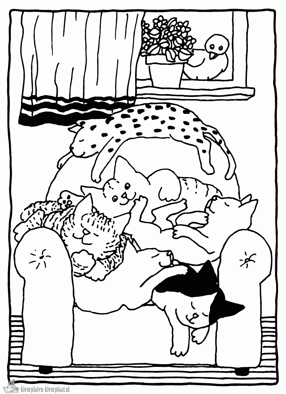 Dikkie dik 9 kleurplaat