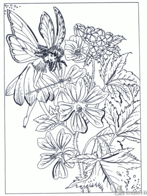 Elfjes 36 kleurplaat om te printen en kleuren