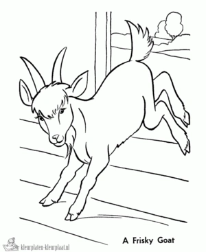 Geit 30 kleurplaat om te printen en kleuren