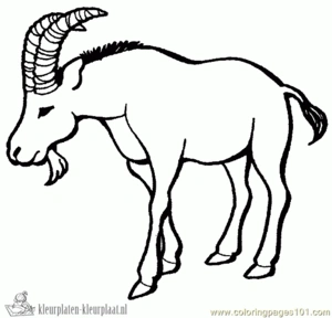 Geit 6 kleurplaat om te printen en kleuren