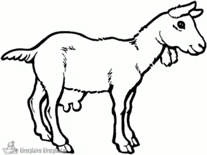 Geit 8 kleurplaat om te printen en kleuren