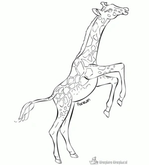 Giraffe 27 kleurplaat om te printen en kleuren