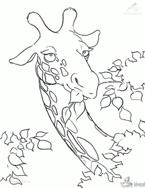 Giraffe 29 kleurplaat om te printen en kleuren