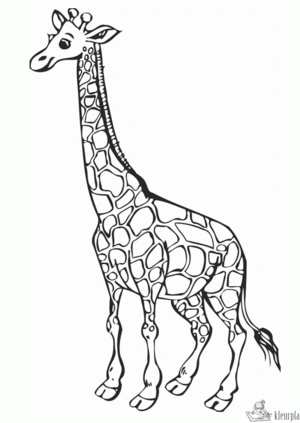 Giraffe 5 kleurplaat om te printen en kleuren