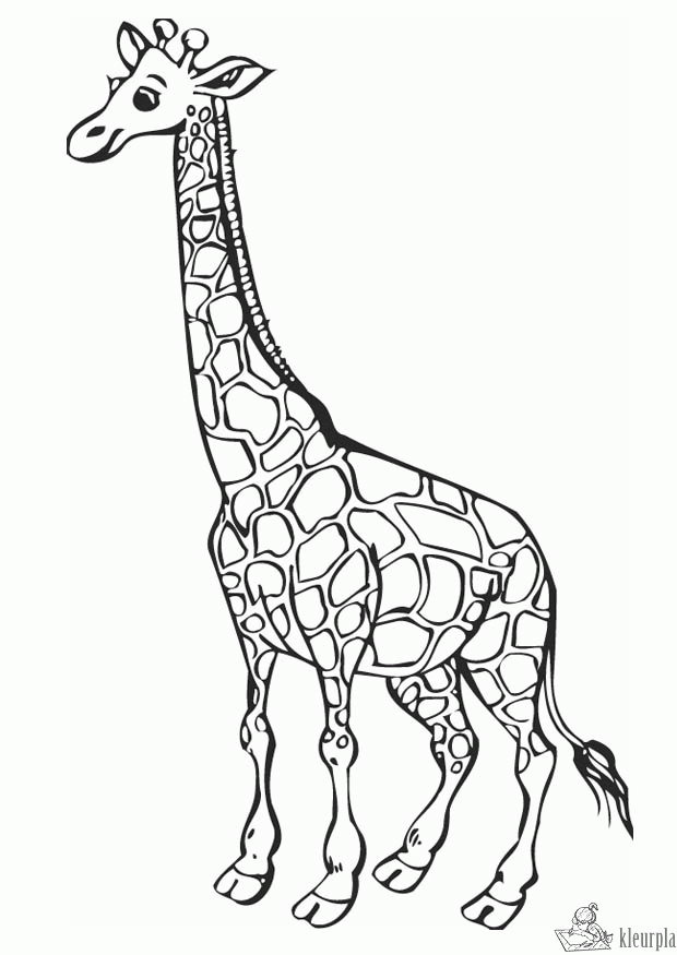 Giraffe 5 kleurplaat