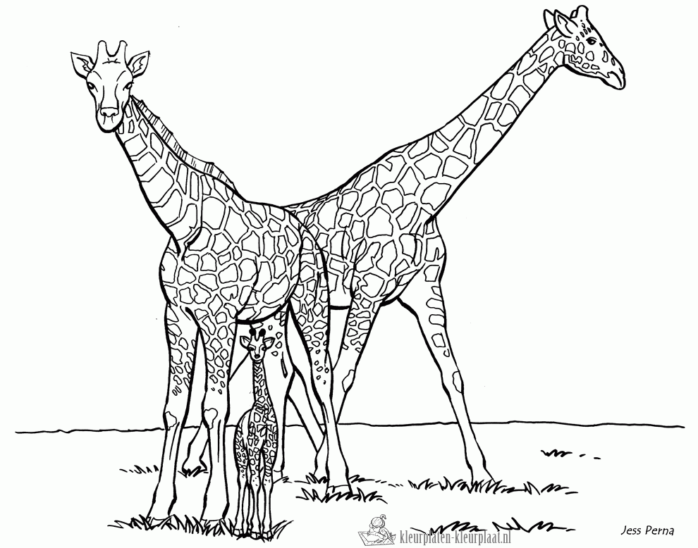 Giraffe 65 kleurplaat
