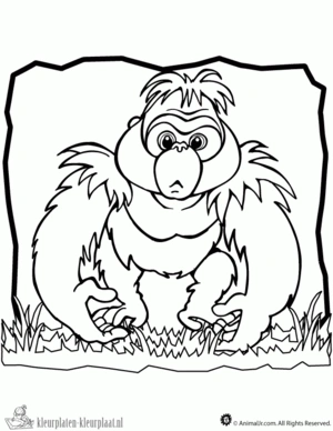 Gorilla 16 kleurplaat om te printen en kleuren