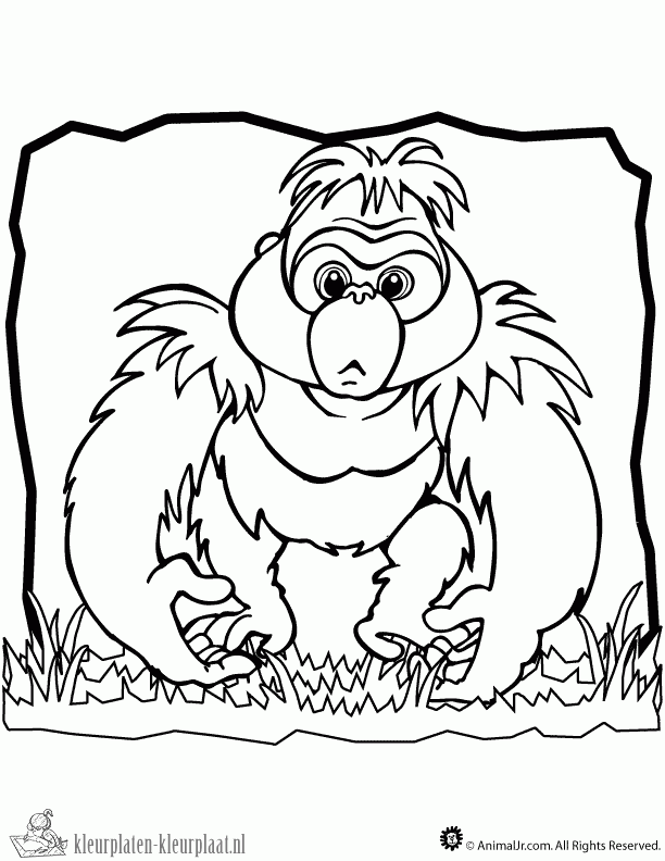 Gorilla 16 kleurplaat