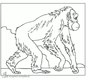 Gorilla 20 kleurplaat om te printen en kleuren