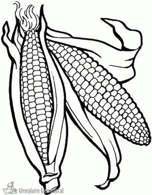 Groente 23 kleurplaat om te printen en kleuren