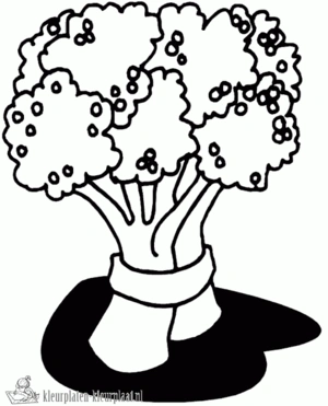 Groente 25 kleurplaat om te printen en kleuren