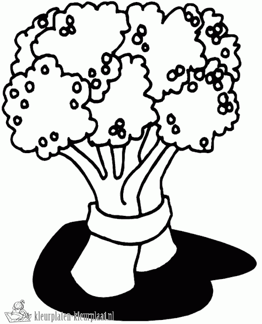 Groente 25 kleurplaat