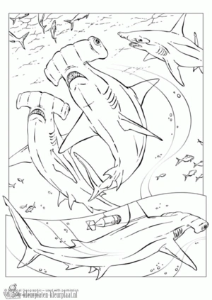 Haai 15 kleurplaat om te printen en kleuren
