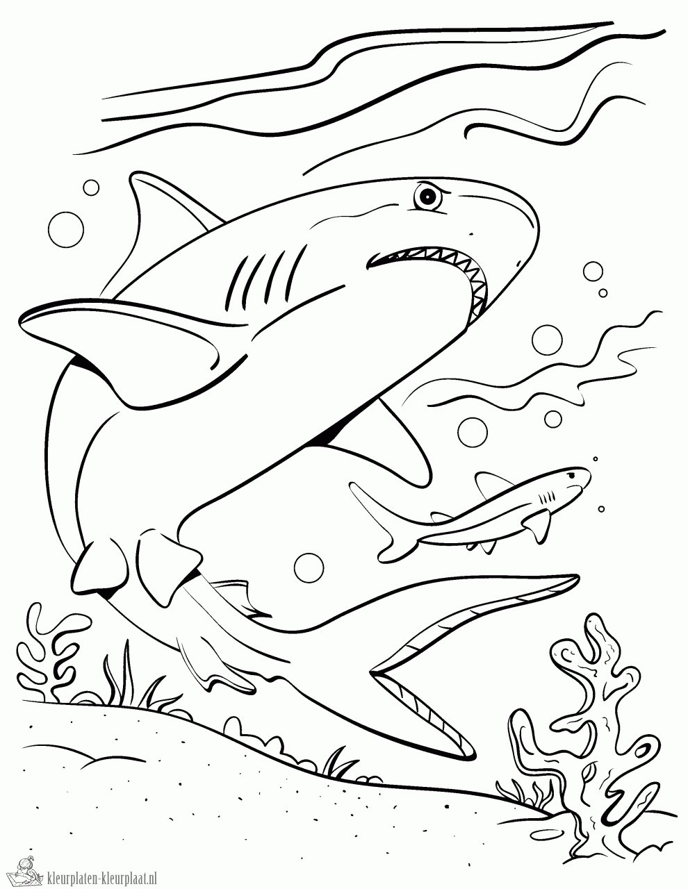 Haai 17 kleurplaat