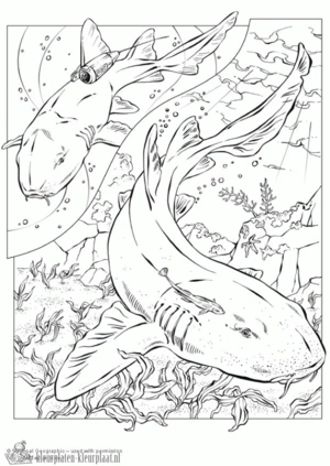 Haai 19 kleurplaat om te printen en kleuren