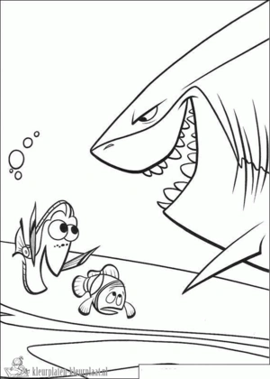 Haai 24 kleurplaat om te printen en kleuren