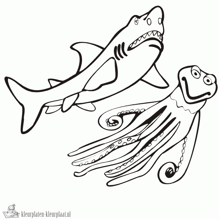 Haai 27 kleurplaat