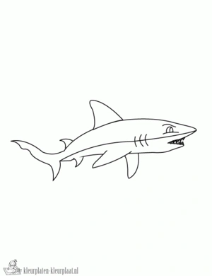 Haai 3 kleurplaat om te printen en kleuren
