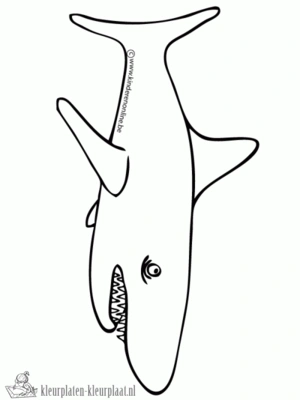 Haai 38 kleurplaat om te printen en kleuren