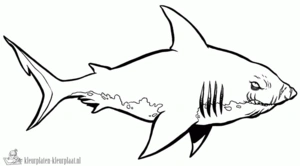 Haai 4 kleurplaat om te printen en kleuren