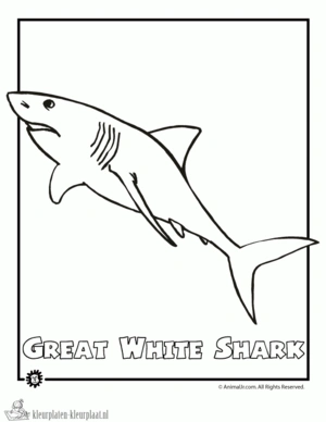 Haai 6 kleurplaat om te printen en kleuren
