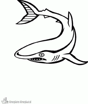 Haai 7 kleurplaat om te printen en kleuren
