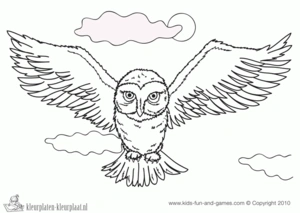 Harry potter 34 kleurplaat om te printen en kleuren