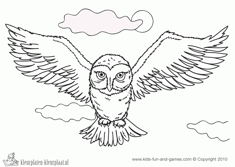 Harry potter 34 kleurplaat