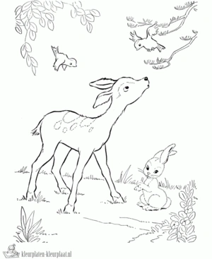 Hert 10 kleurplaat om te printen en kleuren