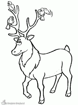 Hert 18 kleurplaat om te printen en kleuren