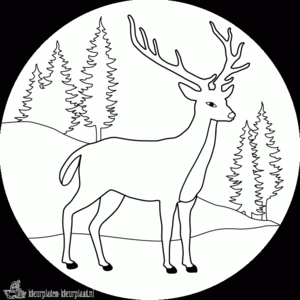 Hert 2 kleurplaat om te printen en kleuren